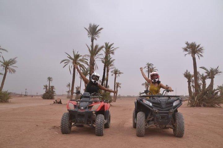 Enjoy a thrilling camel ride through the Palm Grove of Marrakech