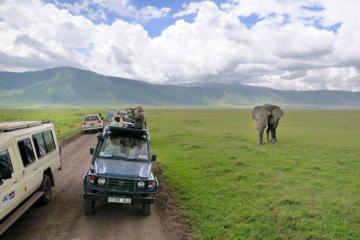 2-Day Lodge Safari with Hotel Pickup in Arusha