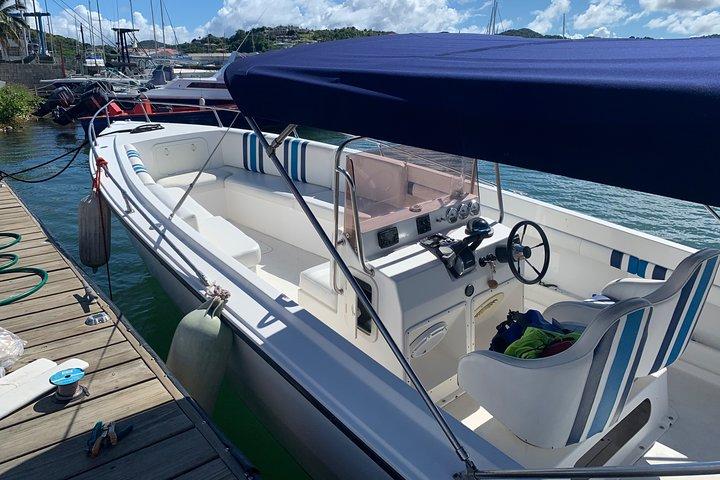 St. Lucia Private Boat Tour, Mud Bath, Waterfall & Beach Time