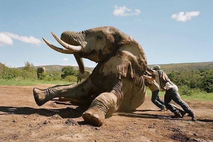 3 Days Lodge Serenegeti & Ngorongoro Crater