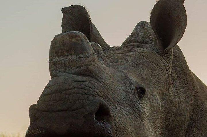 Private 3 Day Luxury Wildlife Migration Safari