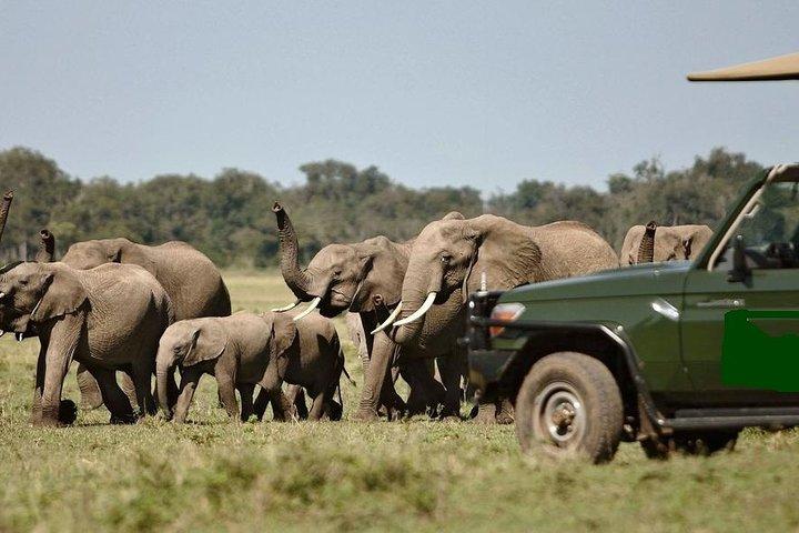 8-Day Best of Kenya Wildlife Safari on 4x4 Land Cruiser Jeep