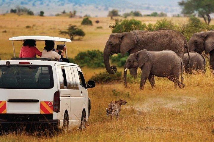 8-Day Best of Kenya Wildlife Safari on 4x4 Land Cruiser Jeep
