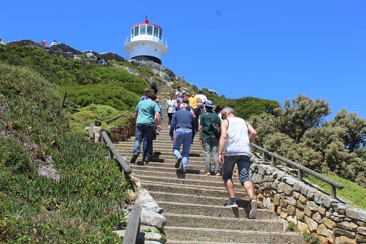 Private Day Tour to Cape of Good Hope Penguins Inc Entry Tickets from Cape Town