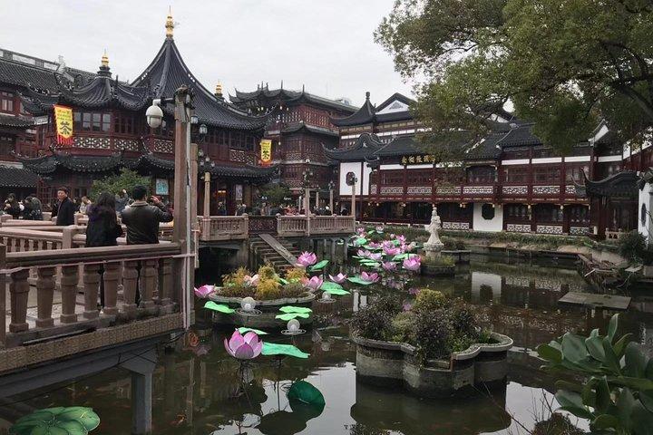Private Tour of Shanghai Zoo and Cruise on Huangpu River with Dim sum Lunch