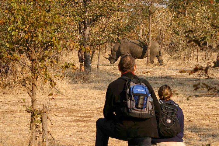Rhino Walking Safari at Mosi-oa-Tunya National Park