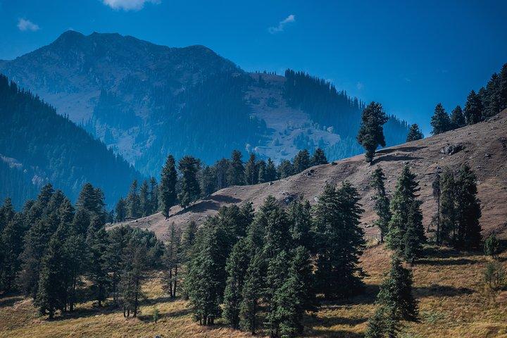 Picturesque Pahalgam: A Memorable Day Trip from Srinagar