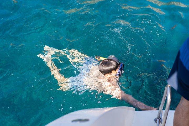Santorini Caldera Gold Day Cruise with BBQ on board and Open Bar