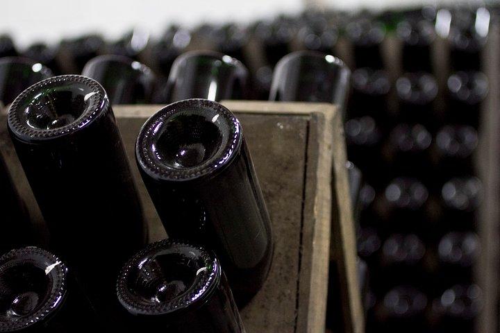 4 Hours Cricova Winery Tour with Tasting