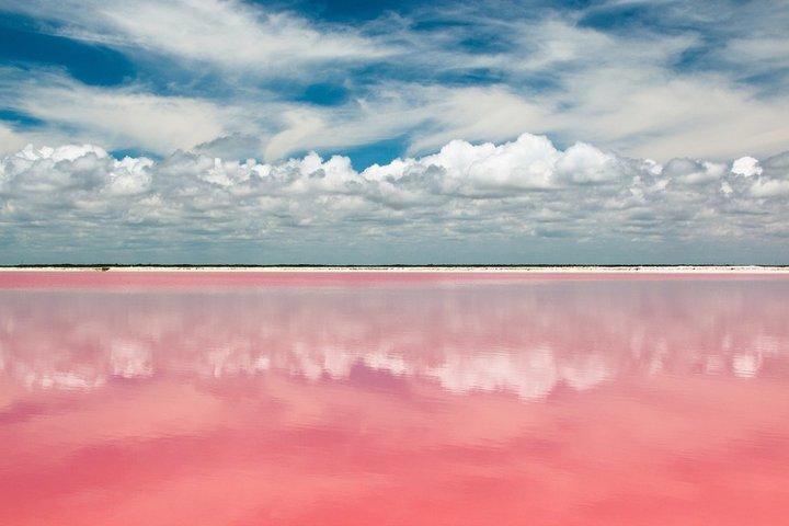 Discover the FABULOUS PINK WATERS in the Caribean