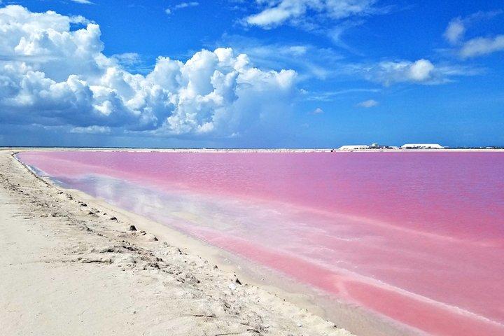Gorgeous Natural Pink Lake, Las Coloradas Tour! From Riviera Maya