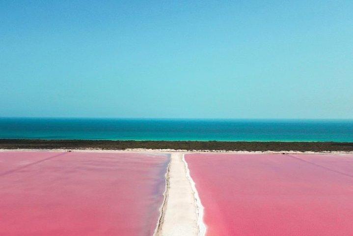 Relaxing Day at Las Coloradas Pink Lake! From Riviera Maya