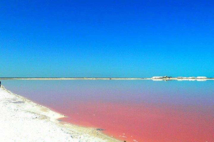 Gorgeous Natural Pink Lake, Las Coloradas Tour! From Riviera Maya