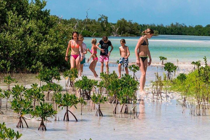 Holbox and Passion Island Full-Day Tour with Cenote, Transportation and Lunch