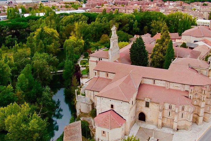 Exclusive tour: Ribera del Duero "like a native", with lamb in a wood oven