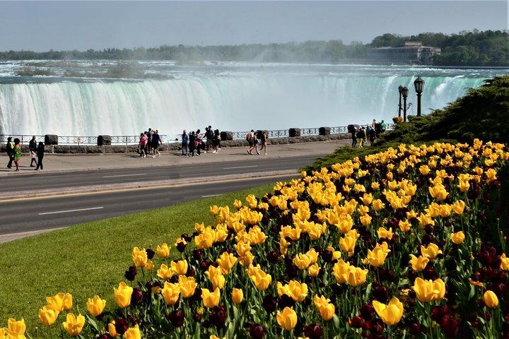 Day-Trip from Toronto to Niagara Falls with skip-the-line boat