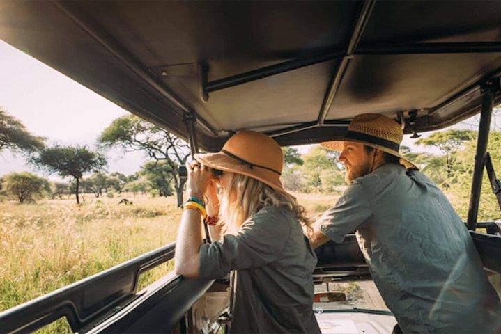 4 Days Tanzania Private safari to Serengeti ,ngorongoro crater and Tarangire