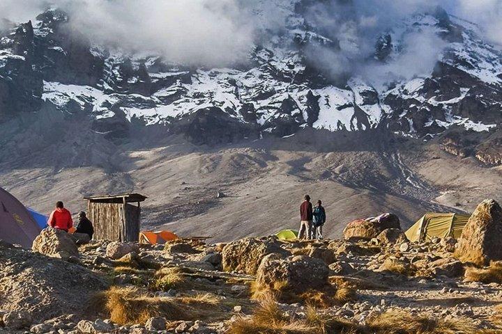 Unforgettable 8 Days Lemosho Route Trekking on Kilimanjaro