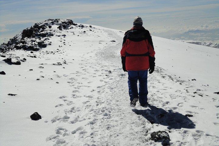 Unforgettable 8 Days Lemosho Route Trekking on Kilimanjaro