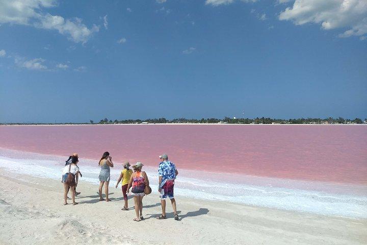 Paradisiacal tour: Las Coloradas Pink Lake and Rio Lagartos with Lunch included.