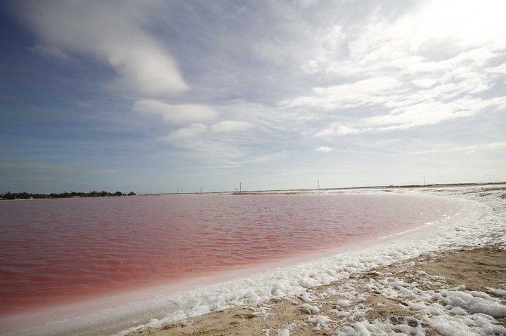 Paradisiacal tour: Las Coloradas Pink Lake and Rio Lagartos with Lunch included.