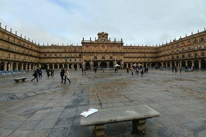 Salamanca and Avila Private Tour from Madrid with Hotel Pickup