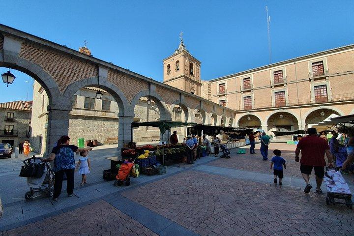 Salamanca and Avila Private Tour from Madrid with Hotel Pickup