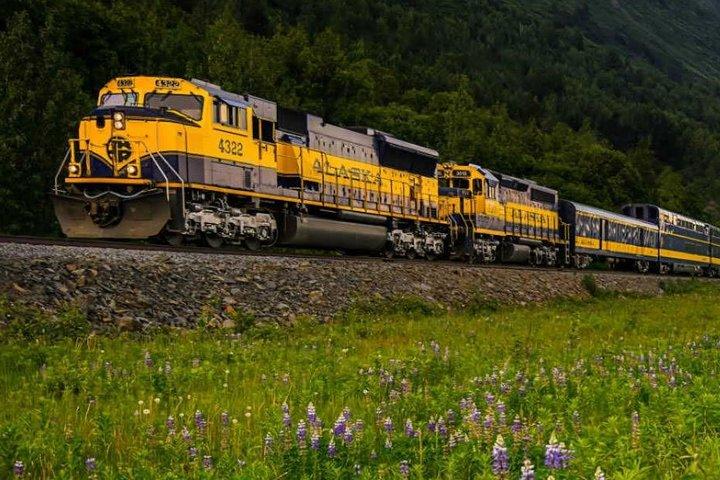 Alaska Railroad Anchorage to Seward One Way