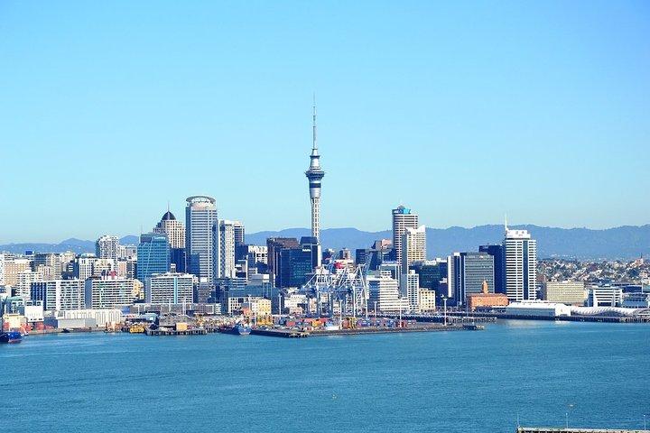 Auckland City & Native Forest Experience - Fully Guided Day Tour