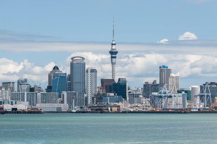 Auckland City & Native Forest Experience - Fully Guided Day Tour