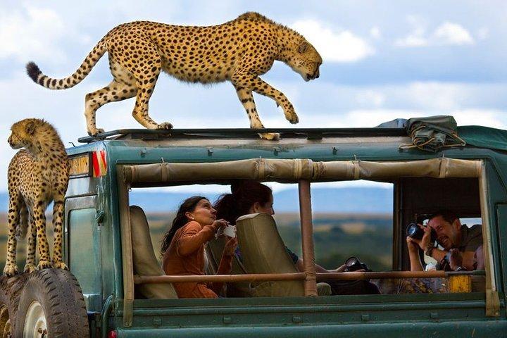 6 Days Maasai Mara, L. Nakuru, Aberdare & Samburu Safari (MINIMUM 2 PERSONS)