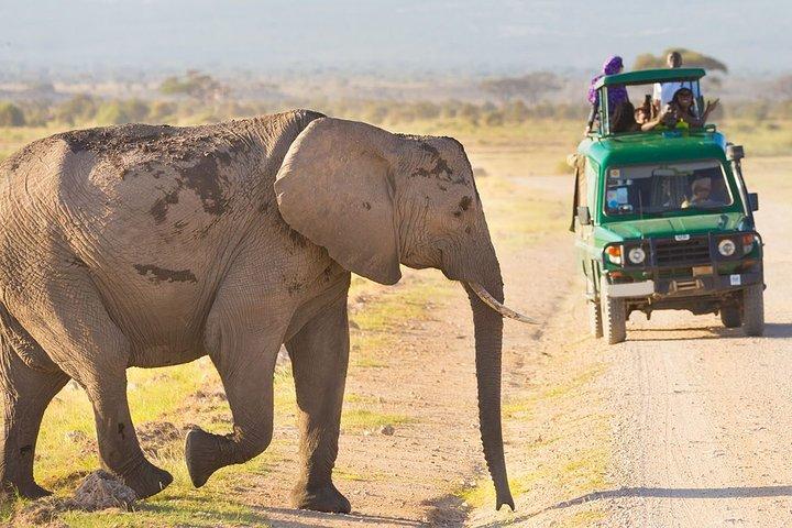 4-Day Masai Mara and Lake Naivasha 4 X 4 Land Cruiser Safari - High End