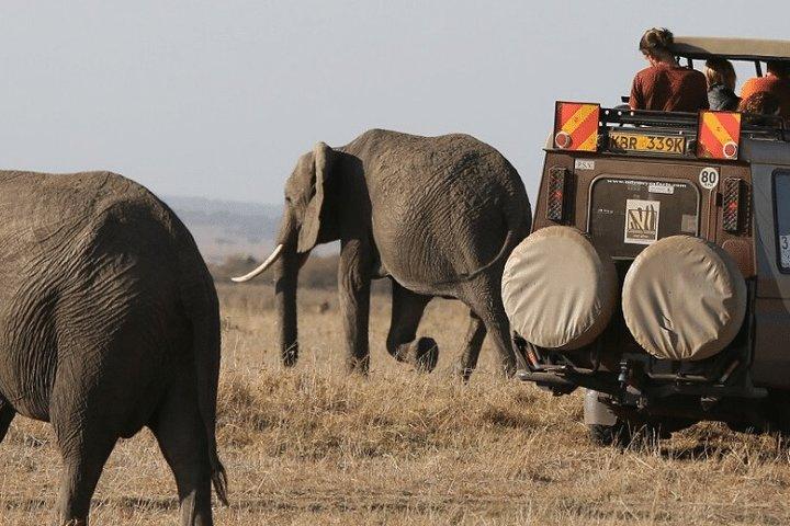 4-Day Masai Mara and Lake Naivasha 4 X 4 Land Cruiser Safari - High End