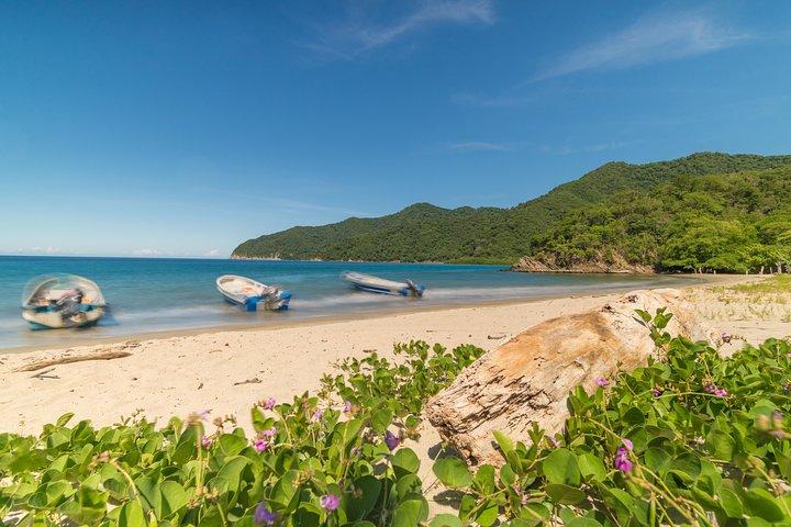 Tayrona Park Hike Tour to Cabo San Juan: Private or Shared