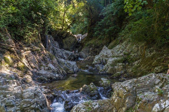 Minca, Waterfalls and Coffee Farm Tour from Santa Marta