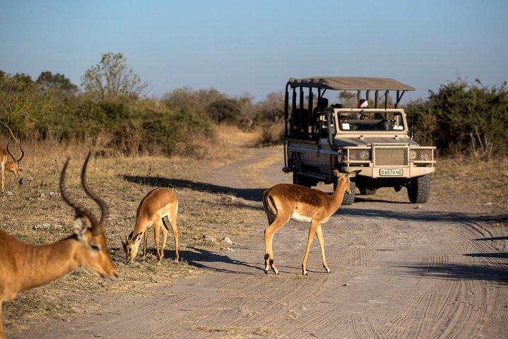 Cape Town - Overnight Best of Inverdoorn Safari Game Reserve