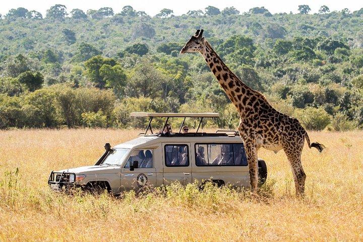 Cape Town - Overnight Best of Inverdoorn Safari Game Reserve