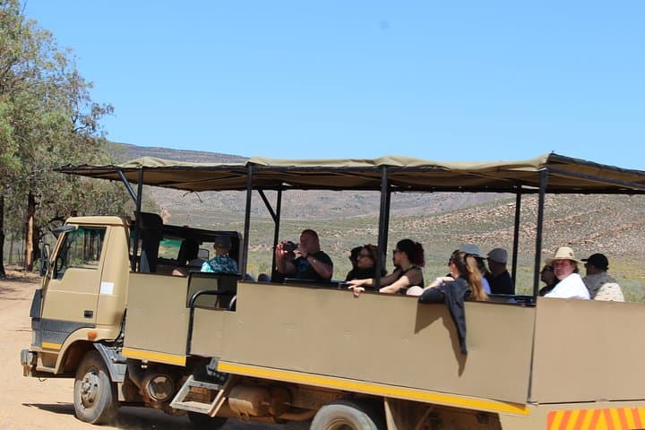 Private Return Transfer To Aquila African Big 5 Safari From Cape Town - Full Day