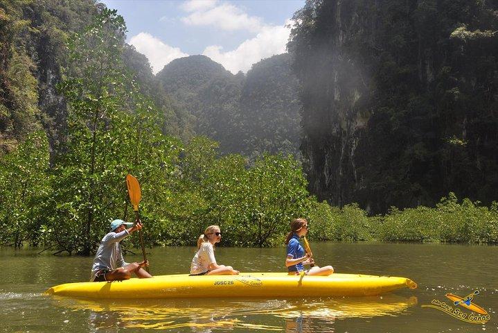 John Gray’s Hong by Starlight: Sea Cave Canoeing Experience