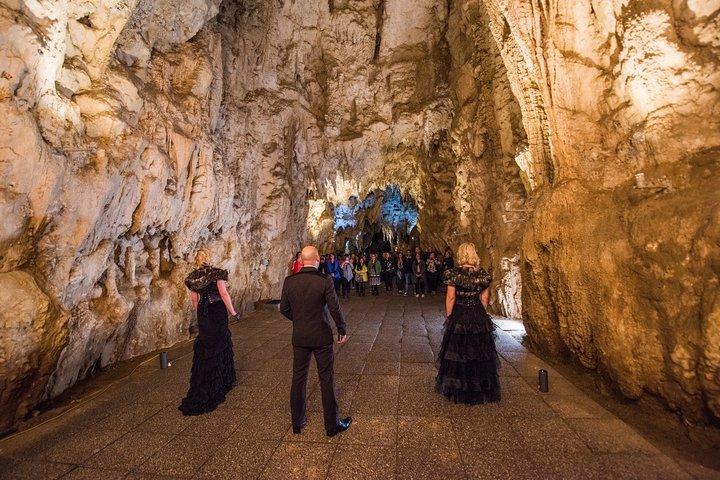 Private Tour [3 Days]: Hobbiton, Waitomo Twin Caves & Te Puia