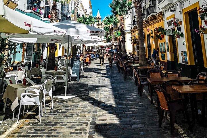 Cadiz Shore Excursion: Scenic & walking tour with cheese and sherry tasting