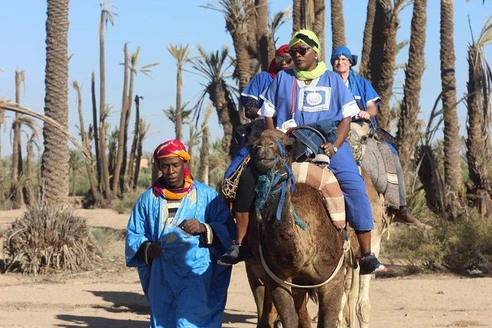 Camel ride at sunset from the palm grove