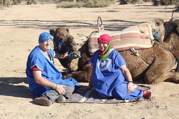Camel ride at sunset from the palm grove