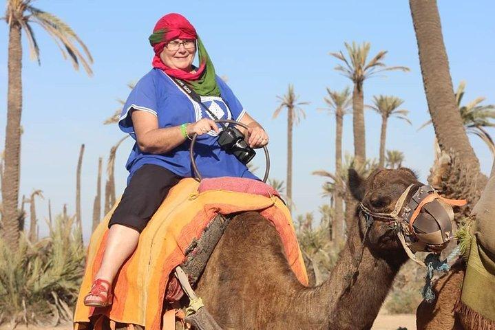 Camel ride at sunset from the palm grove