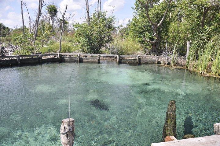 Holbox, Cenote & Two Island! + Punta Mosquito from Cancun