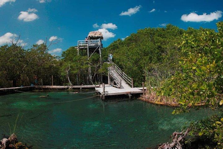 Holbox, Cenote & Two Island! + Punta Mosquito from Cancun