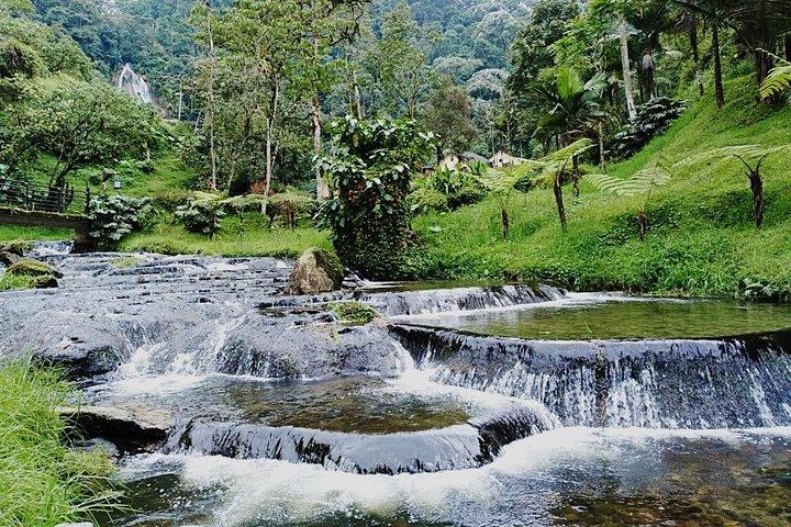 Santa Rosa de Cabal and Hot Springs Day Trip