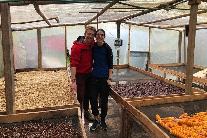 Coffee Farm and Salento Walking Tour