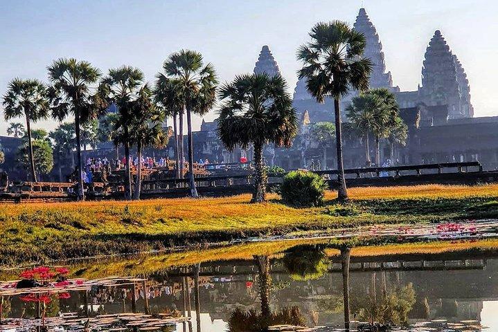 Private Guided Tours-Sunrise Angkor Wat, Ta Prohm, Bayon and more