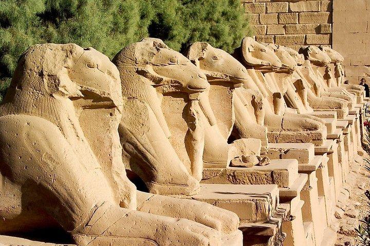 Private tour at Karnak and Luxor Temple (East Luxor)
